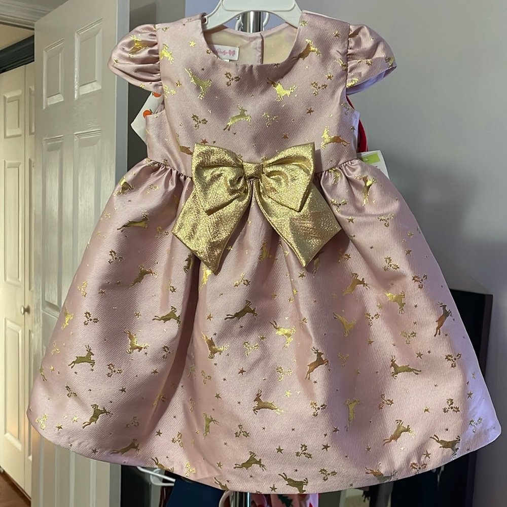 Bonnie Baby Toddler Formal Christmas Dress - 4T